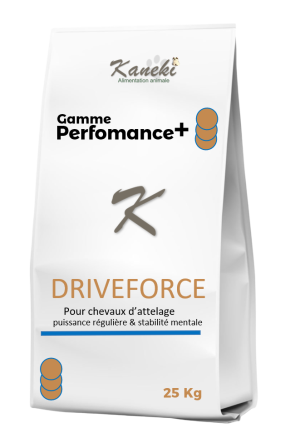 DRIVEFORCE – « La force maîtrisée pour aller plus loin. »