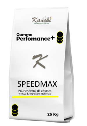 SPEEDMAX – « La vitesse à son sommet. »